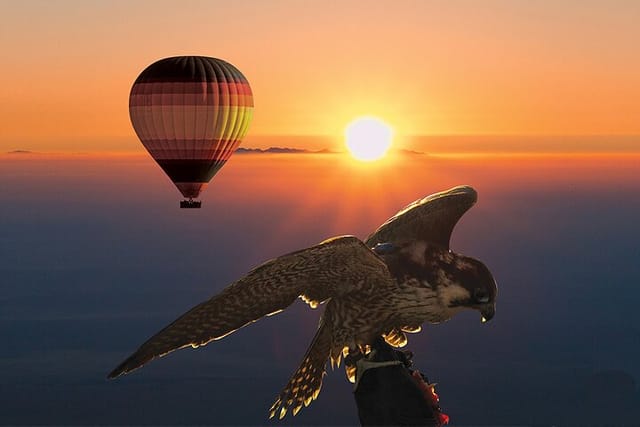 Amazing Hot Air Balloon With Beautiful Desert Sunrise View - Photo 1 of 25